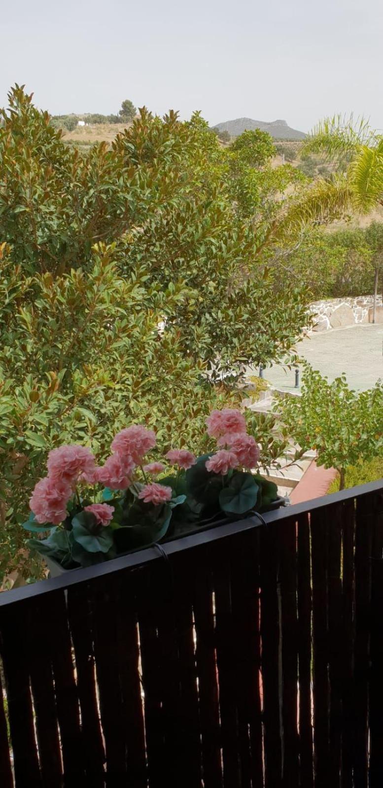Hotel Cortijo De Salia Alcaucín Стая снимка
